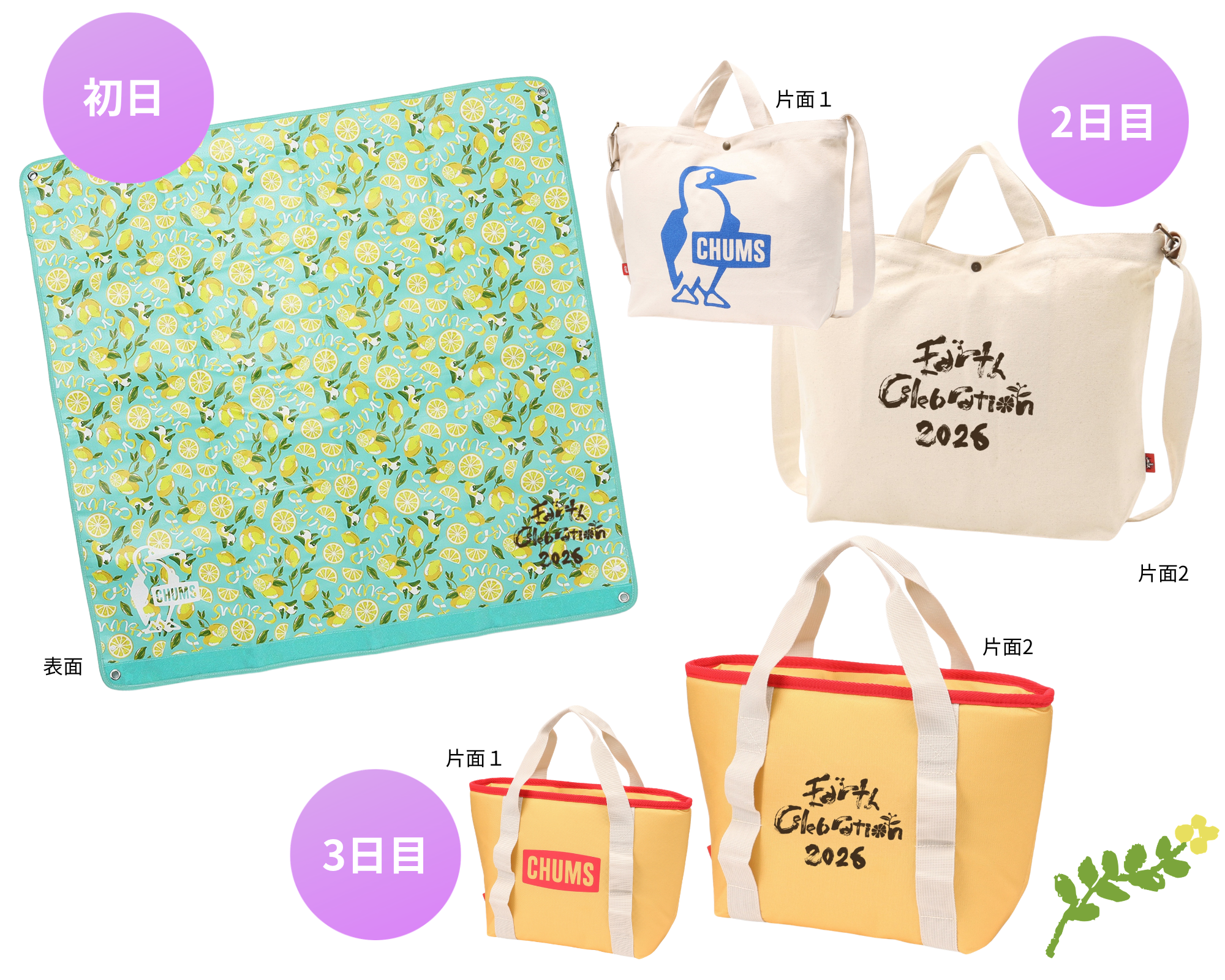 3つの画像コラージュ